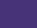Core Adult Windcheater Purple