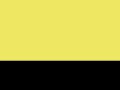 Hi-Vis Executive Waistcoat Hi-Vis Yellow/Black