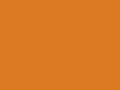 Junior Hi-Vis Weste Fluorescent Orange