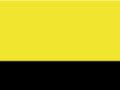 Werkjas Softshell High Visibility Result R475X Fluorescent Yellow-Black