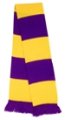 Supporters sjaal Result R146X paars-geel