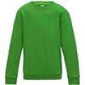 Kinder Sweaters AWDis JH30J lime green