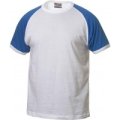 Heren T-shirt Clique Raglan-T 029326 white-royal blue